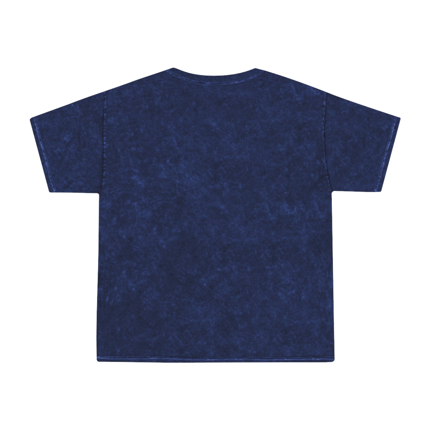 The Earth Muse Unisex Mineral Wash T-Shirt