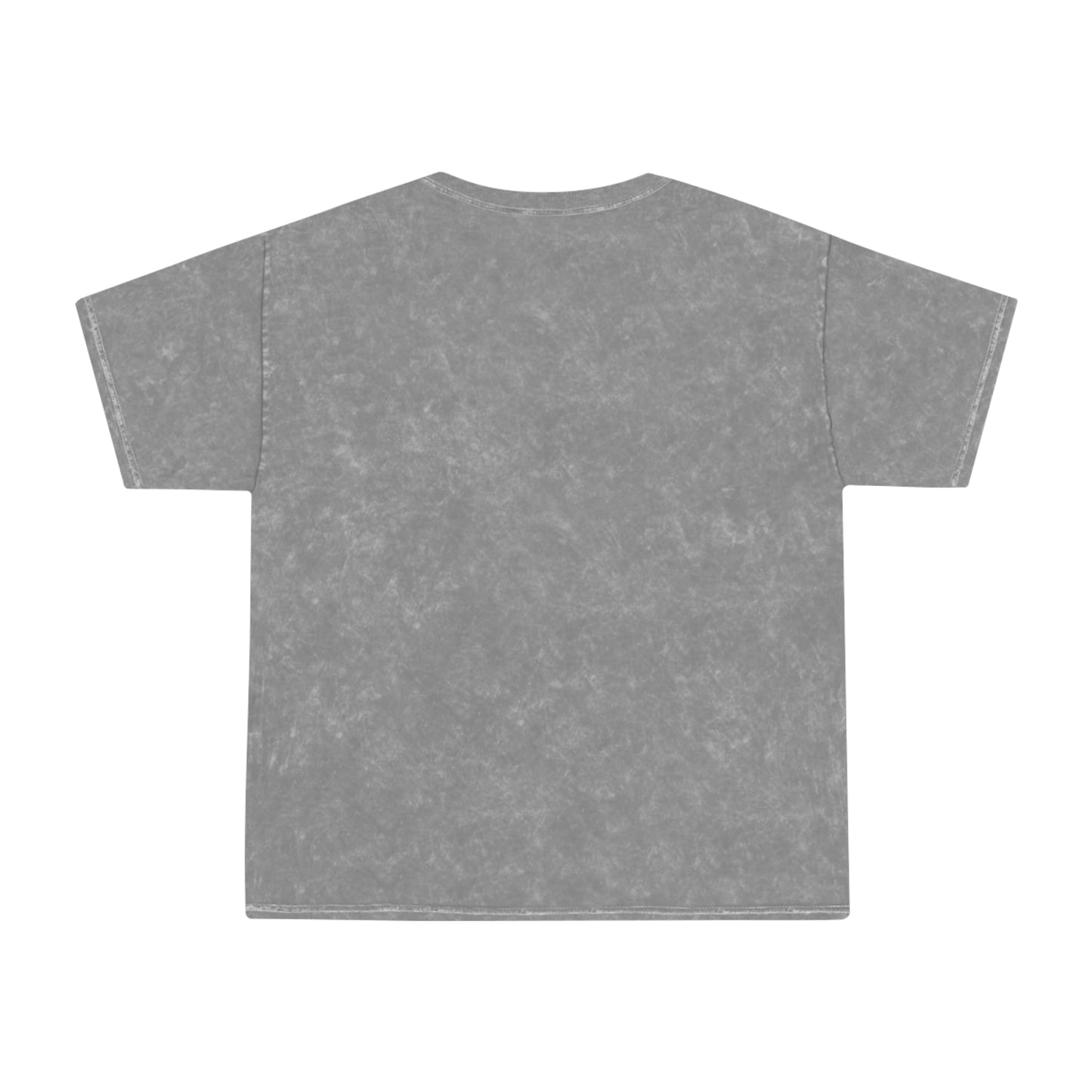 The Earth Muse Unisex Mineral Wash T-Shirt