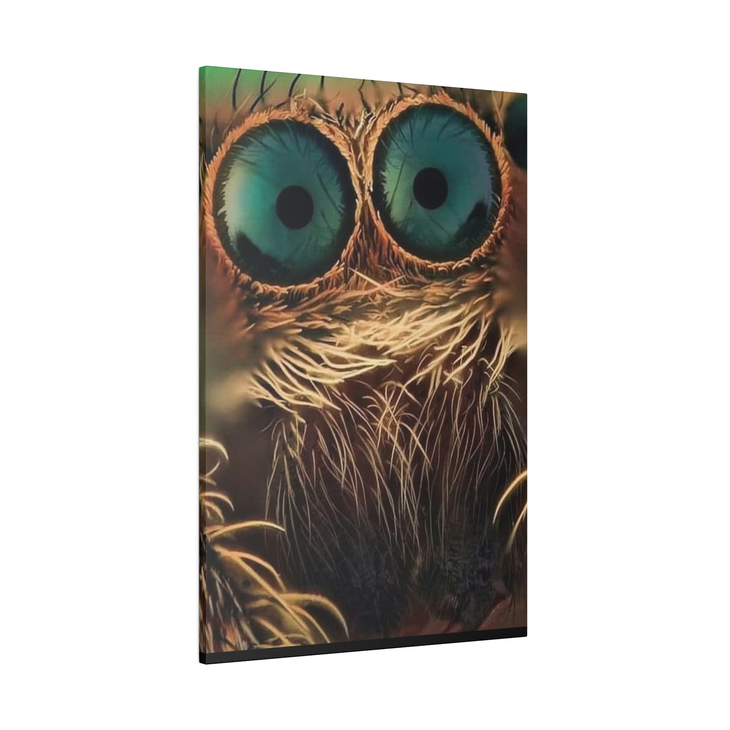 Spider Eyes