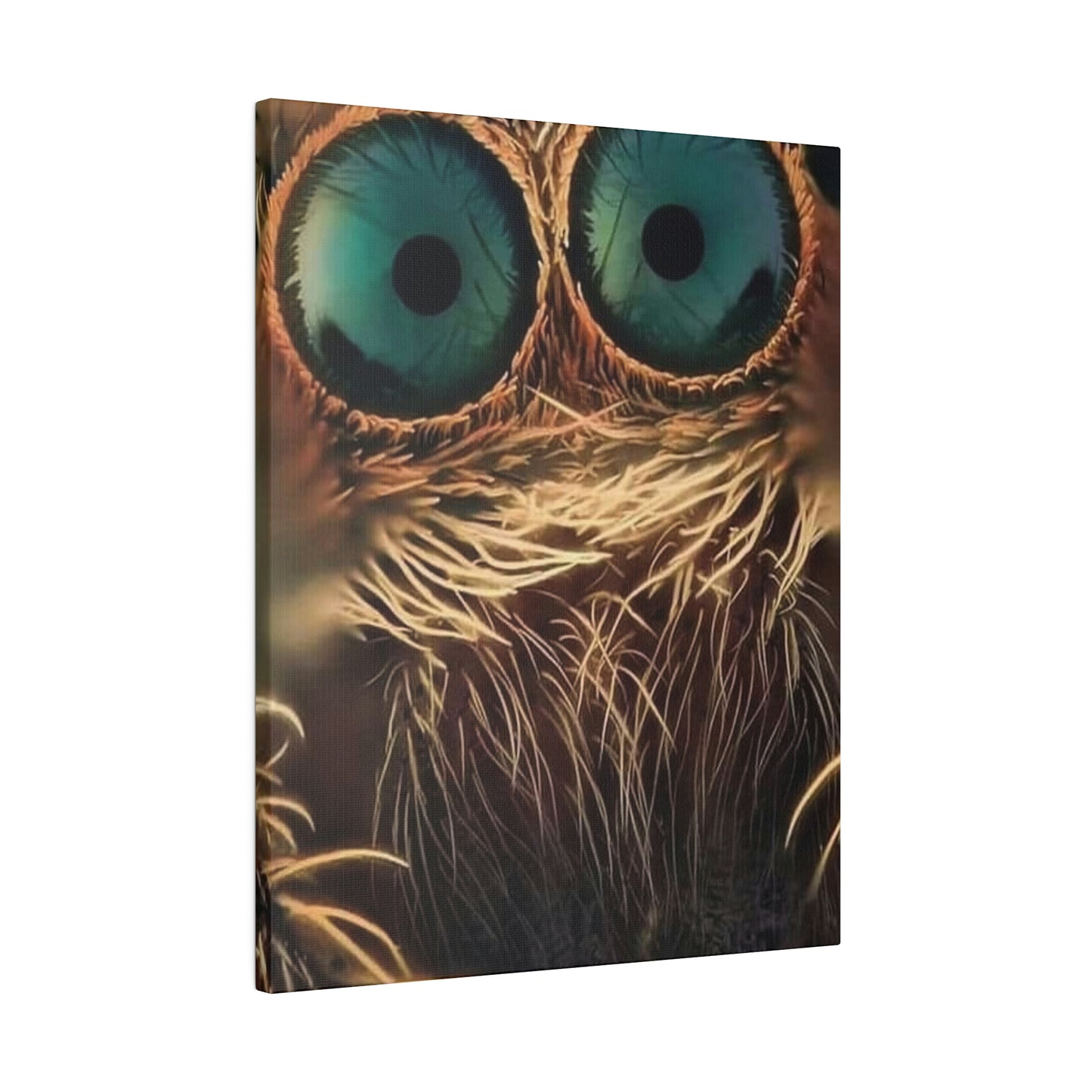 Spider Eyes