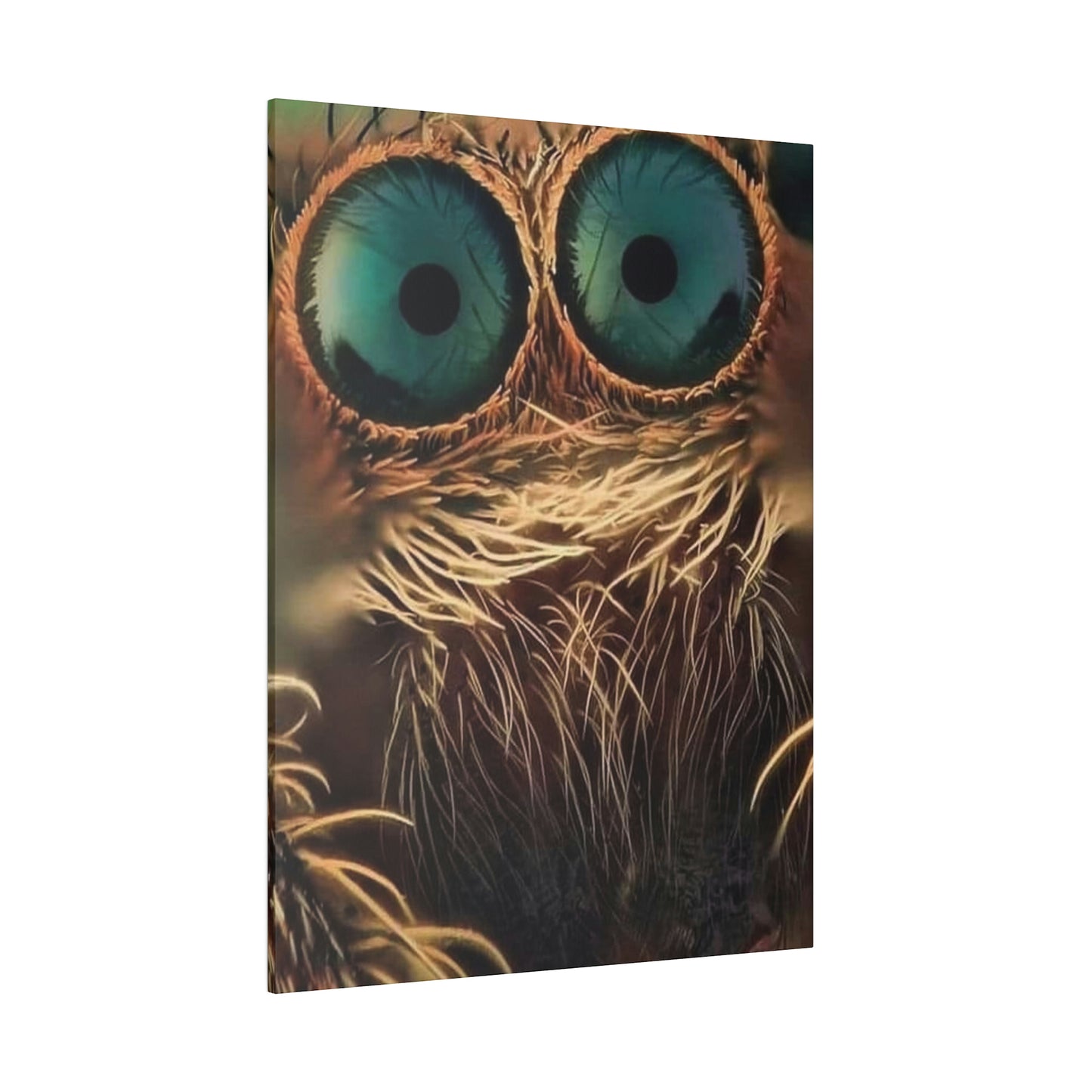 Spider Eyes