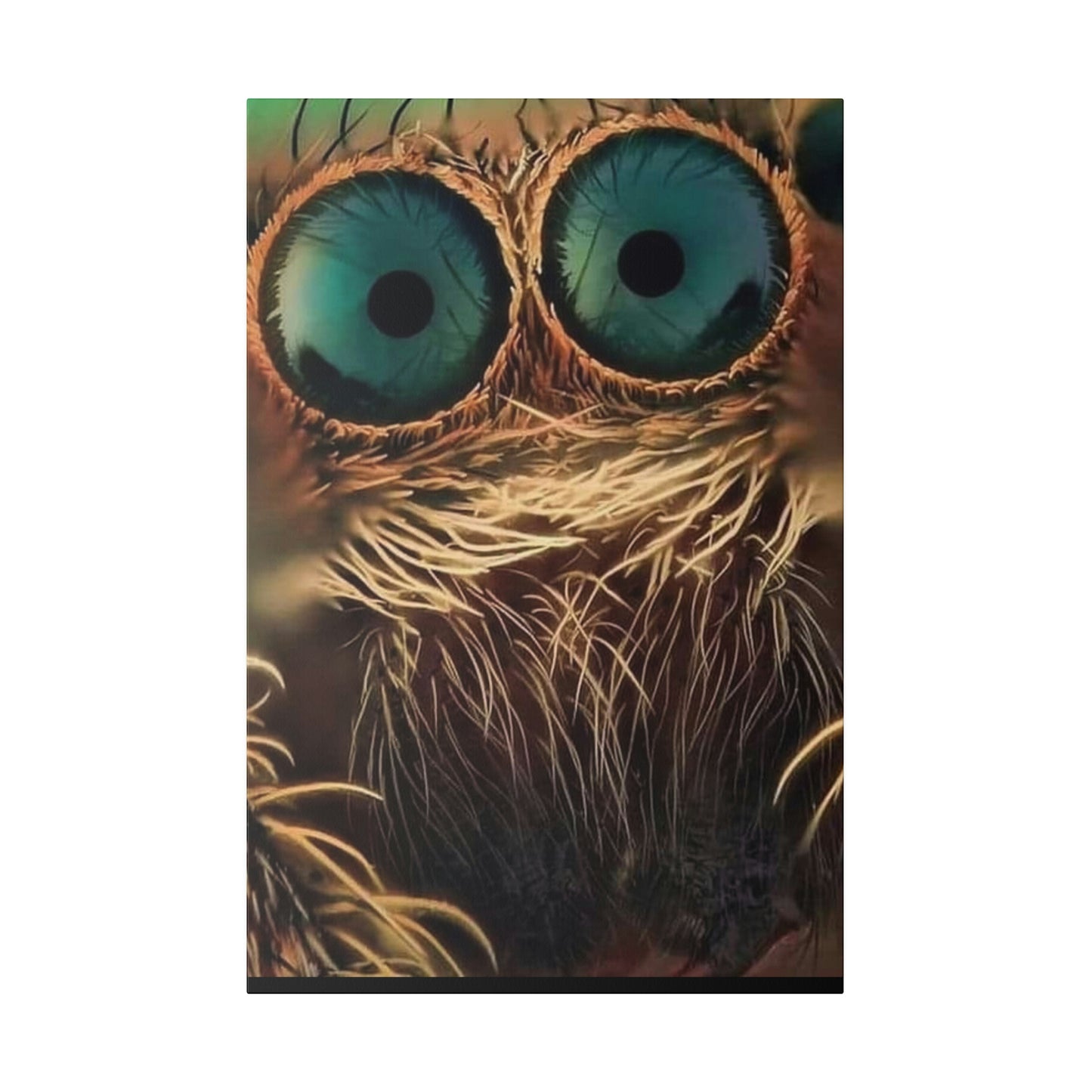 Spider Eyes