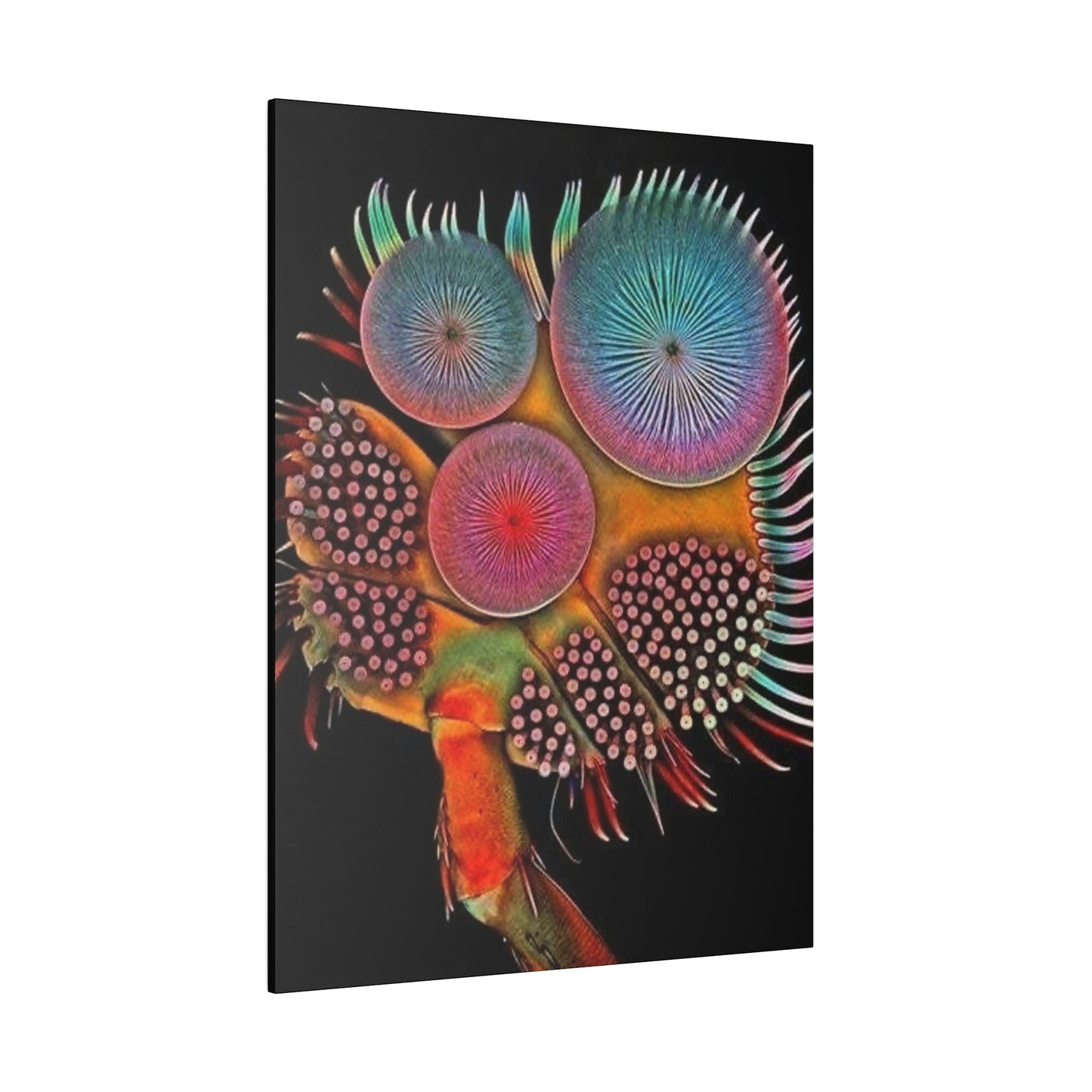 Beetle Foot
